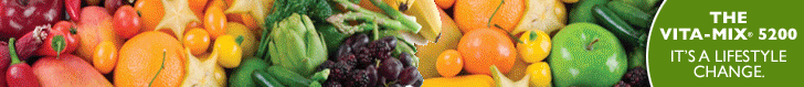 VitaMix 5200 Free Shipping